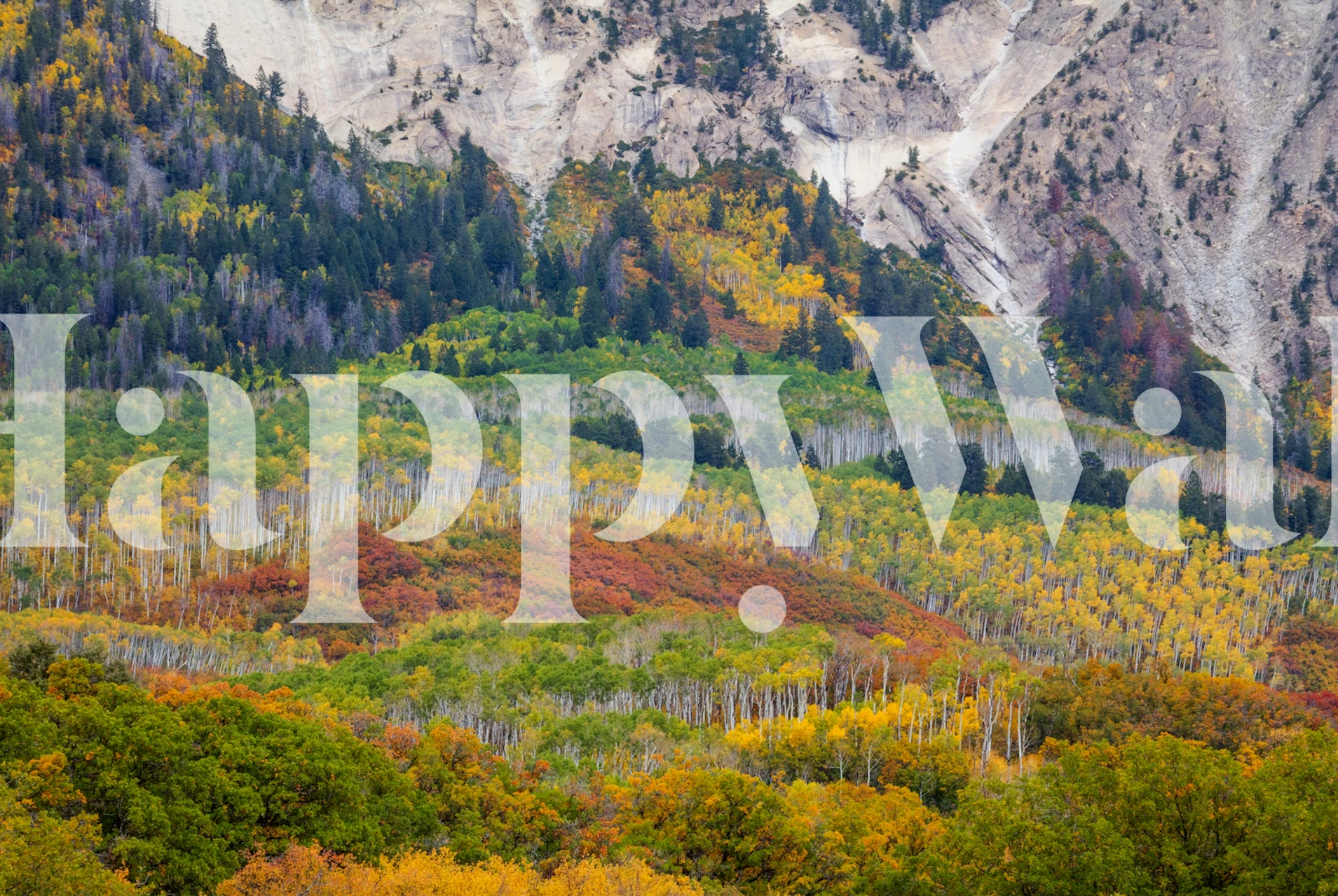 Autumn foliage with mountain backdrop wall mural