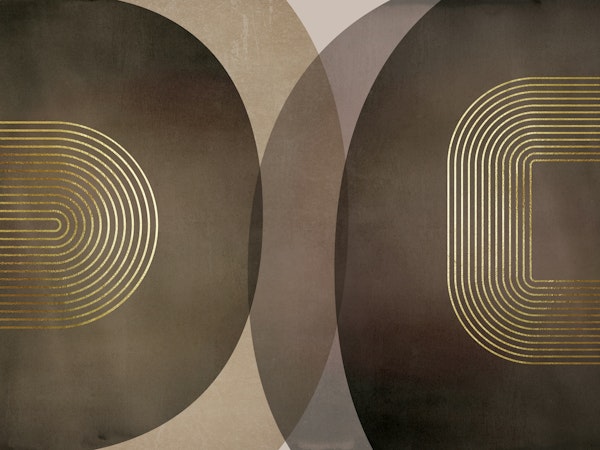 Modern Mid Century Rustic 2