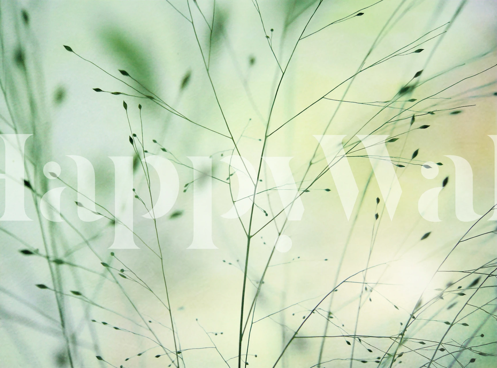 Grasses wallpaper design in a room