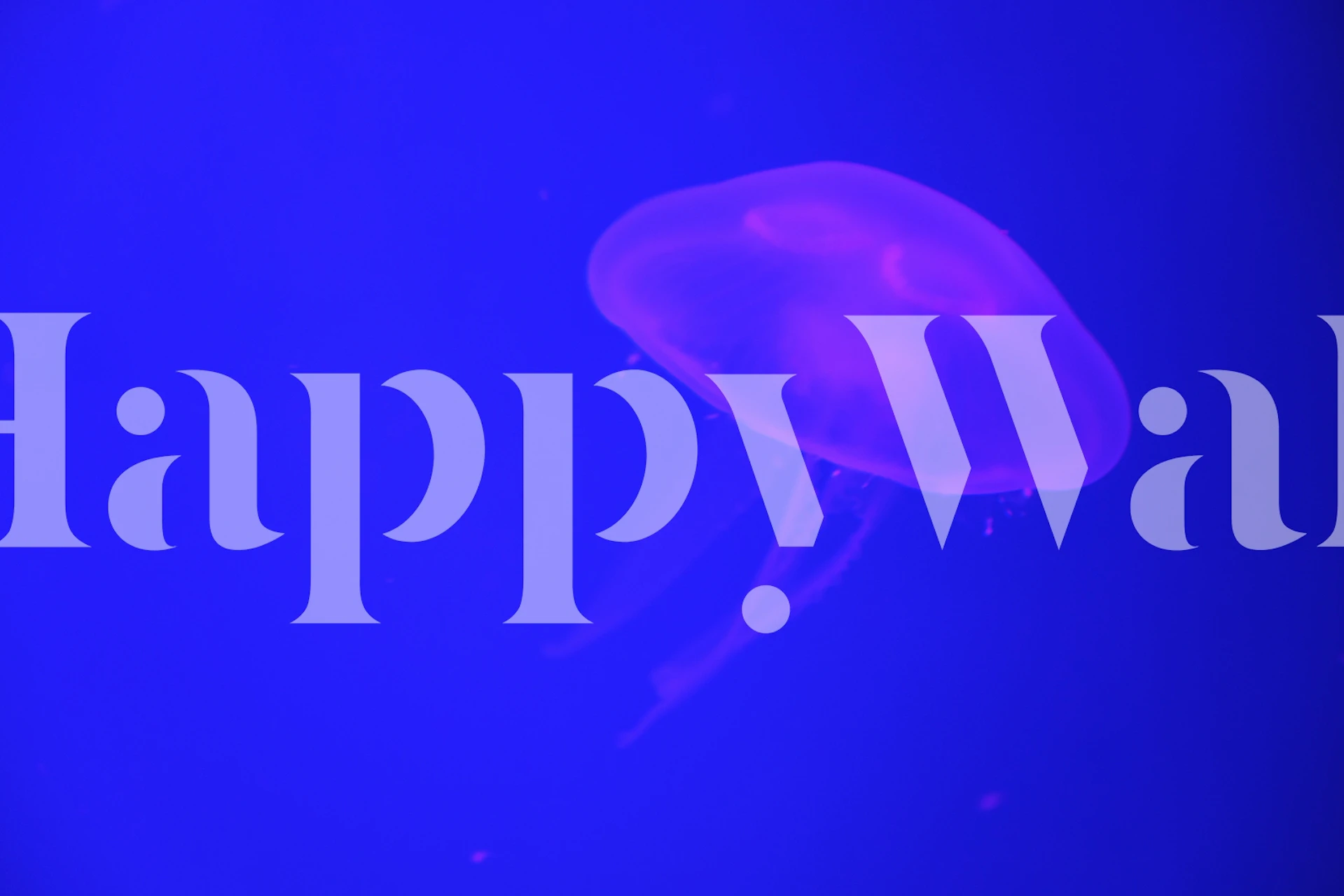 Kwallen zwemmen in blauw water fotobehang