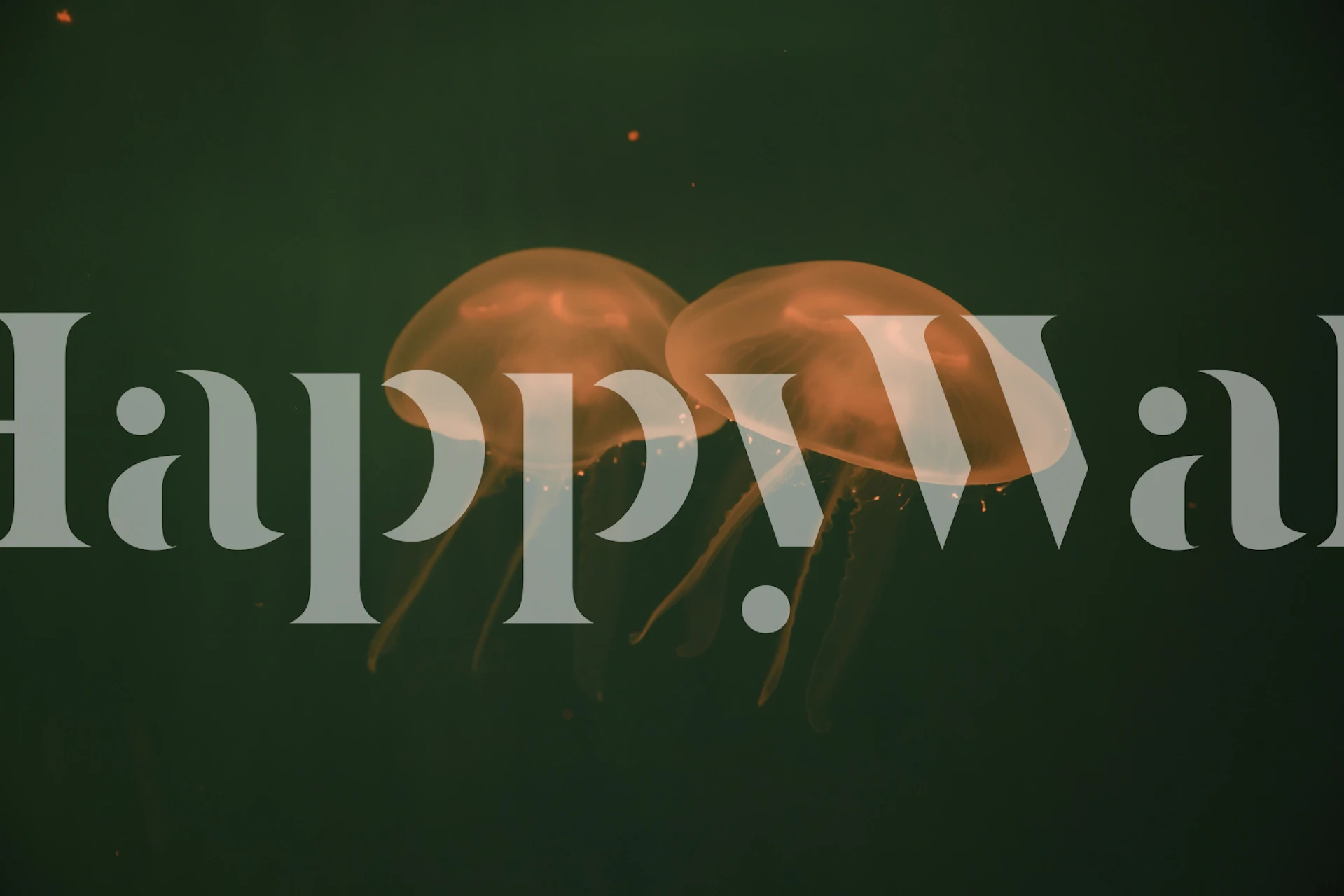 Meduusa tapetti huoneen asetelmassa