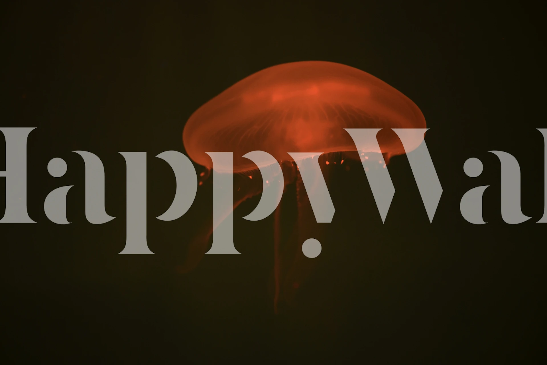 Jellyfish wallpaper in a modern room