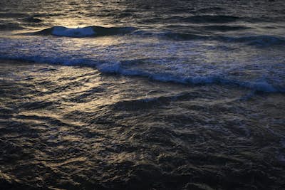 Τοιχογραφία