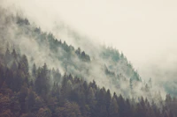 Misty Mountain papiers peint