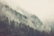 Misty Mountain
