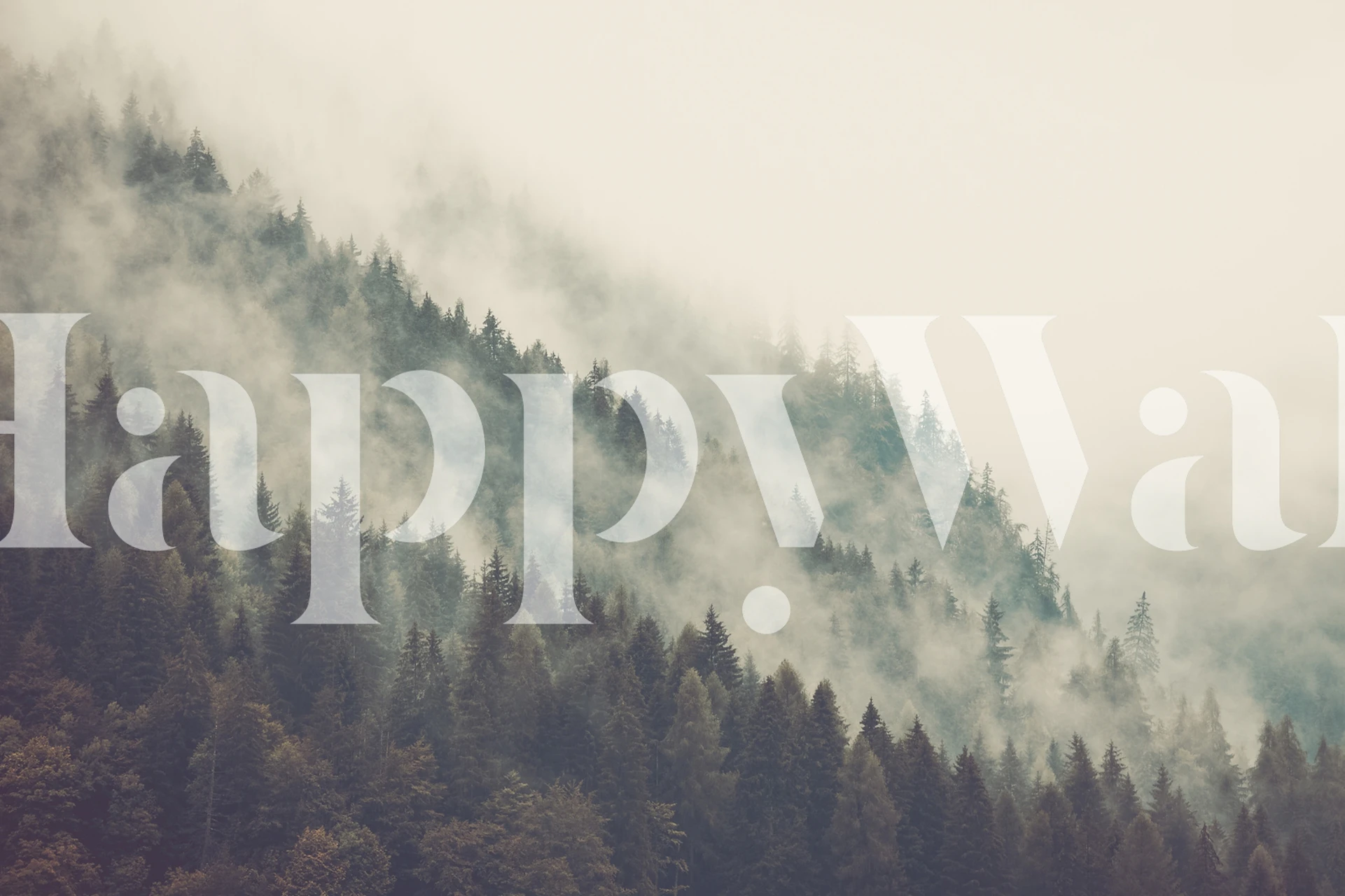 Misty Mountain wallpaper displayed in a room