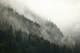 Misty Mountainside