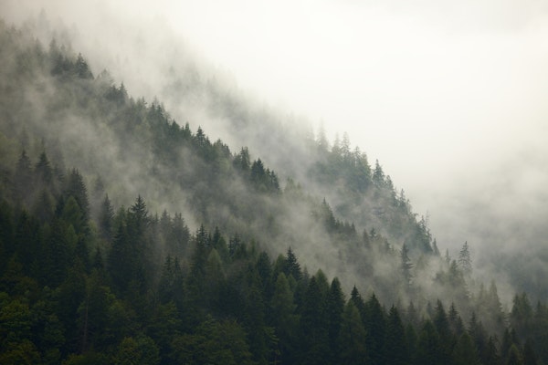 Misty Mountainside