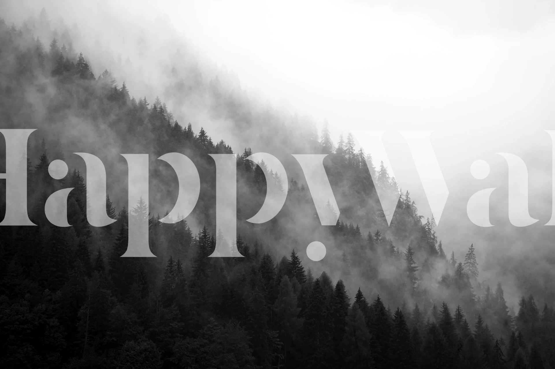 Black and white mountain mist over forest wall mural