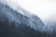Blue Mountain Mist