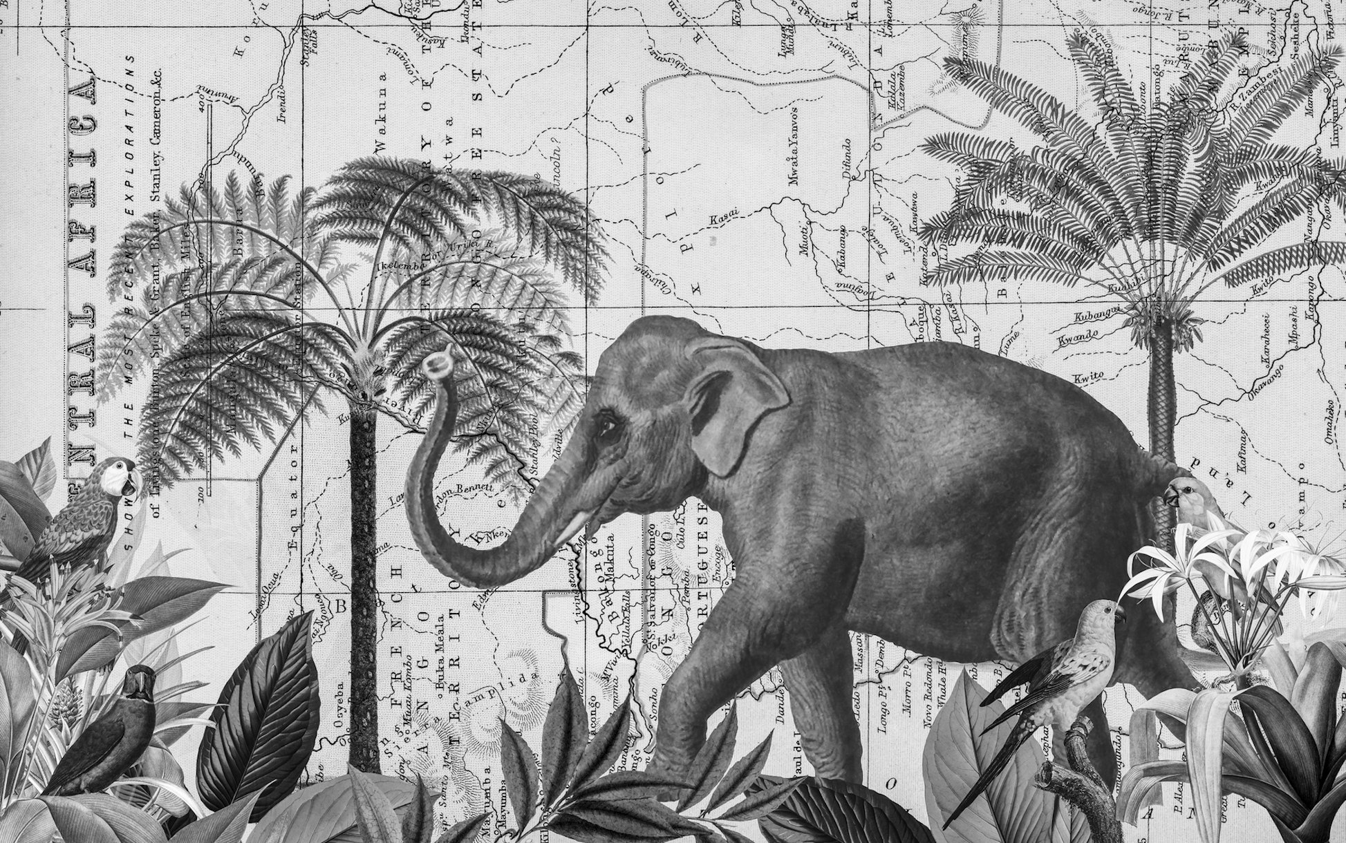 Explore Africa Elephant Wallpaper Buy Online Happywall