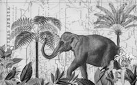 Explore Africa Elephant ταπετσαρία