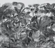 Tropical Jungle Black N White