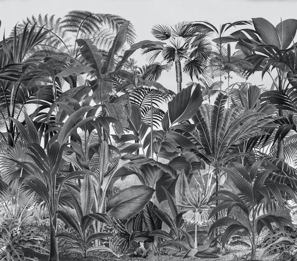 Tropical Jungle Black N White