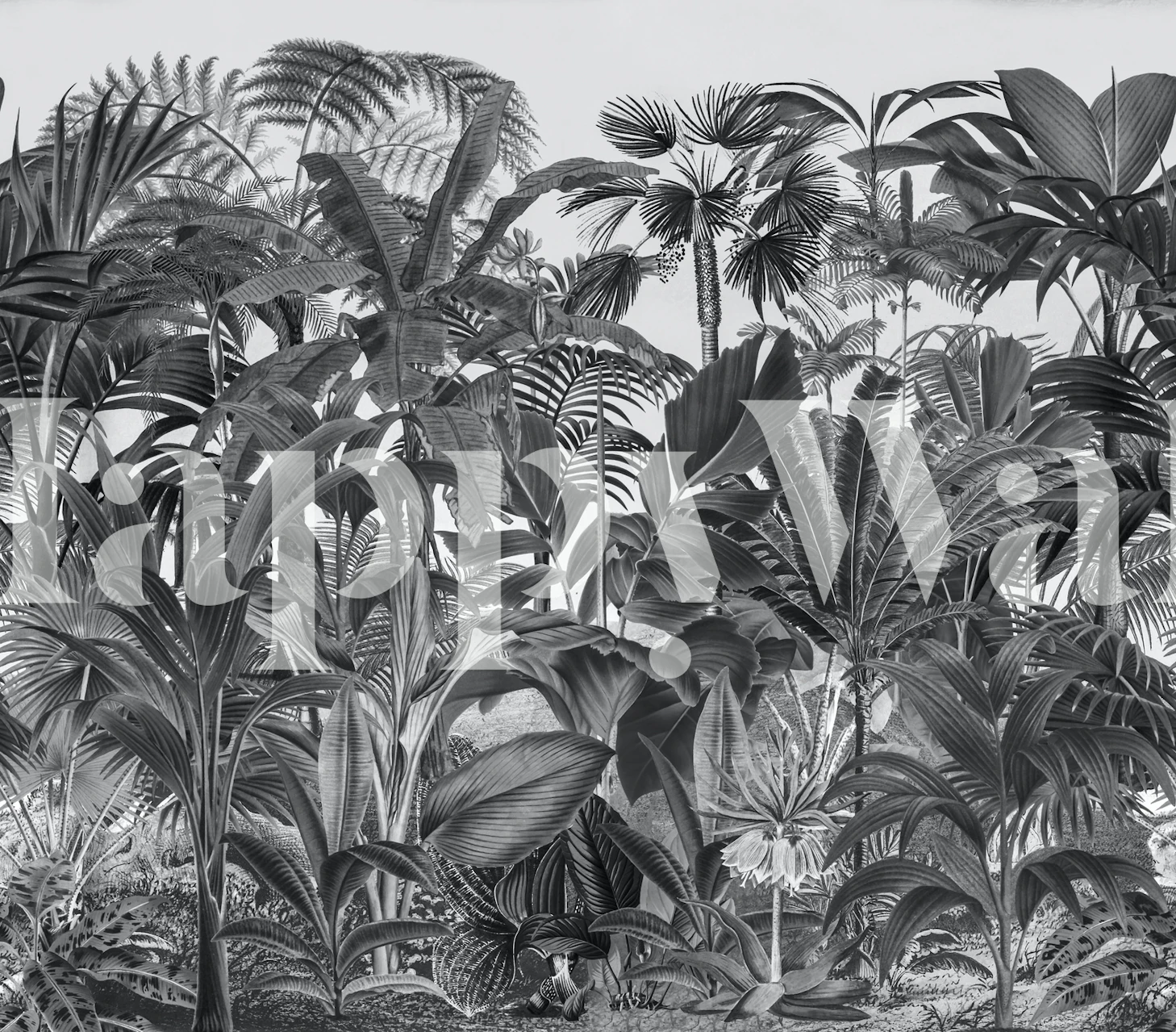 Tropical jungle foliage in black and white wallpaper