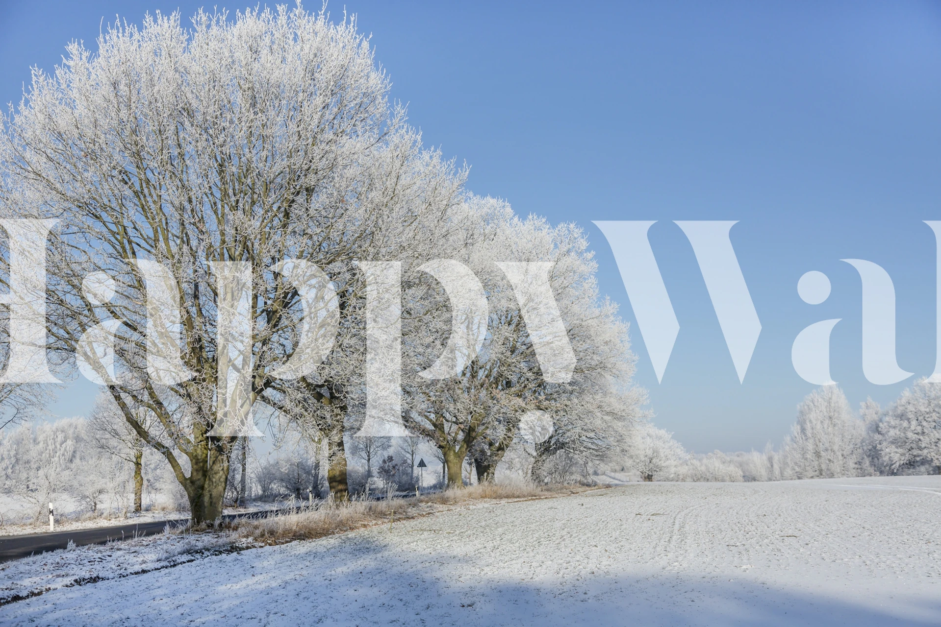 Winter Idyll In The North tapet i et lyst rum