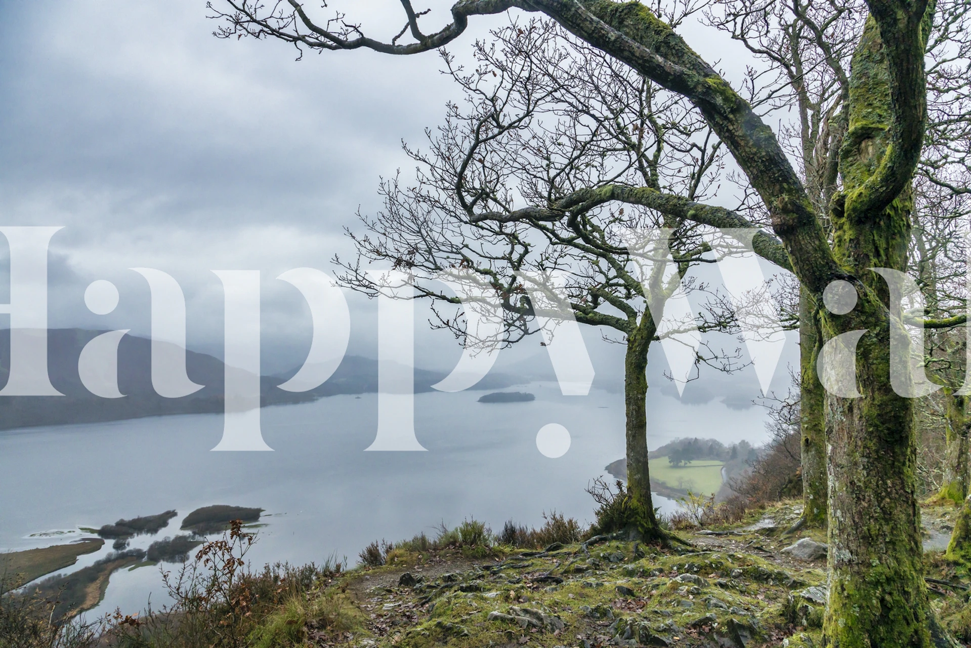 Lake District landscape with gray water and trees wallpaper