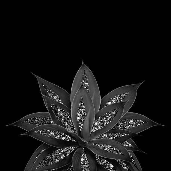 Gray Agave Silver Glitter 2