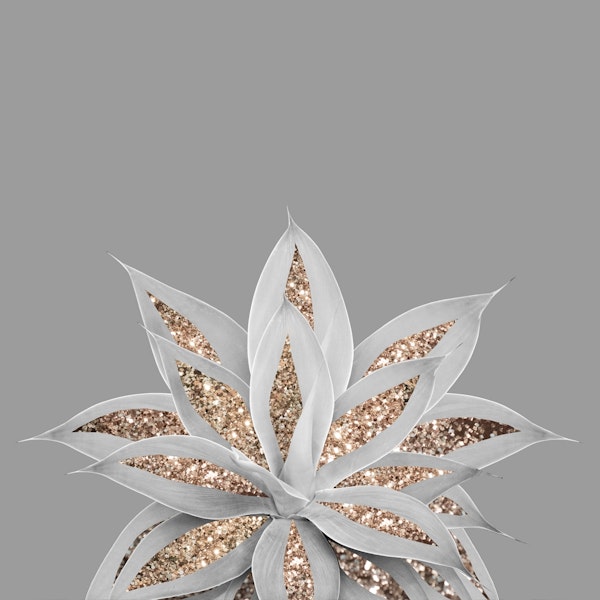 Gray Agave with Gold Glitter 1