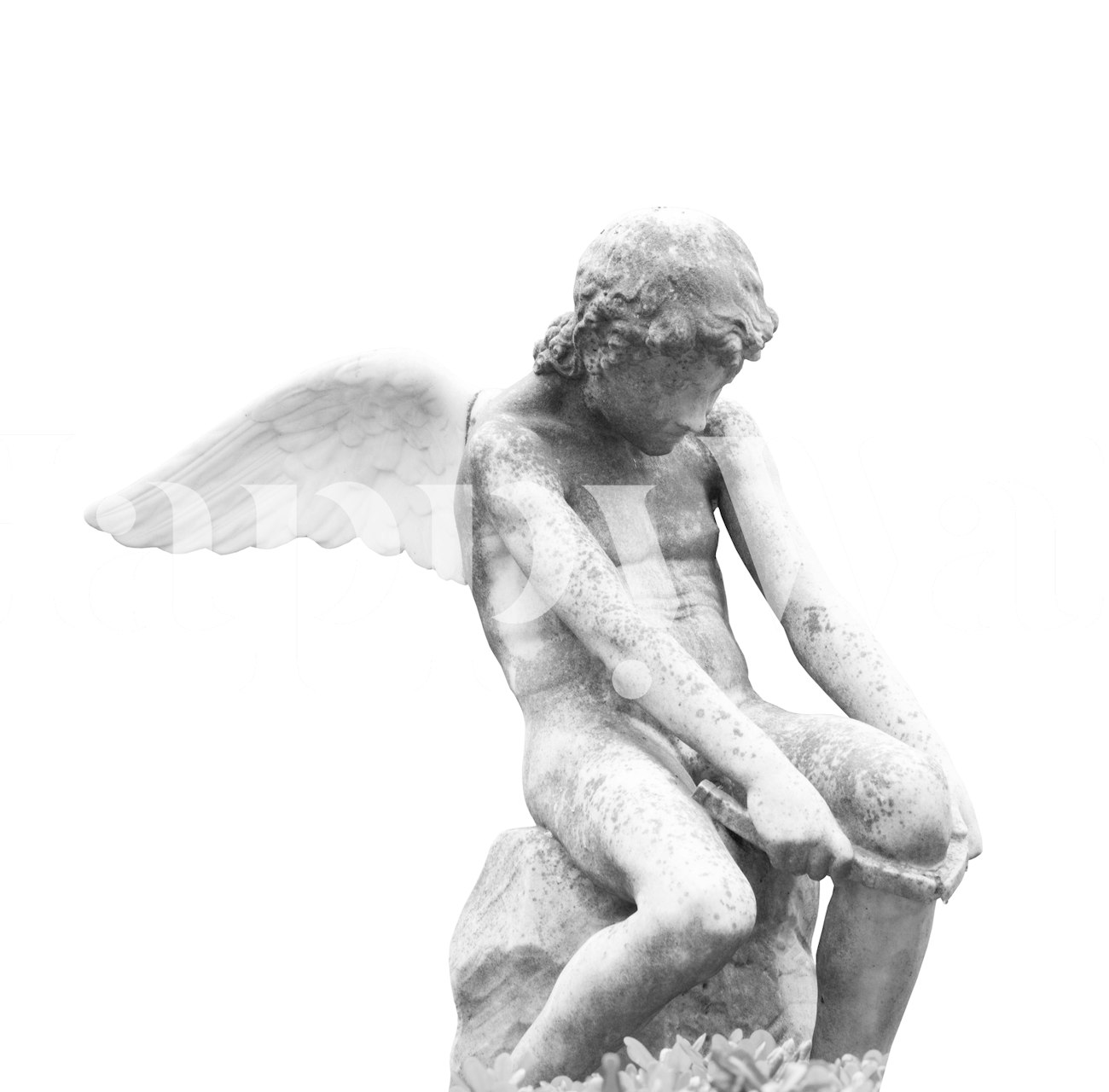 Eros God of Love 1 wallpaper in a room setting