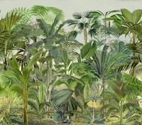 Tropical Jungle tapete