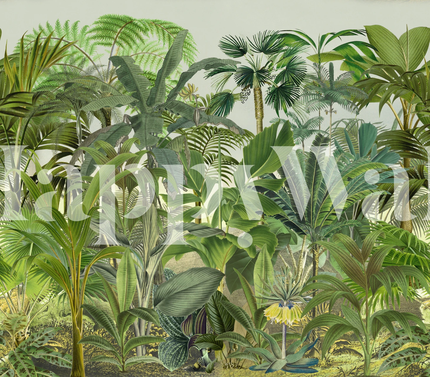 Tropical jungle wallpaper in a room