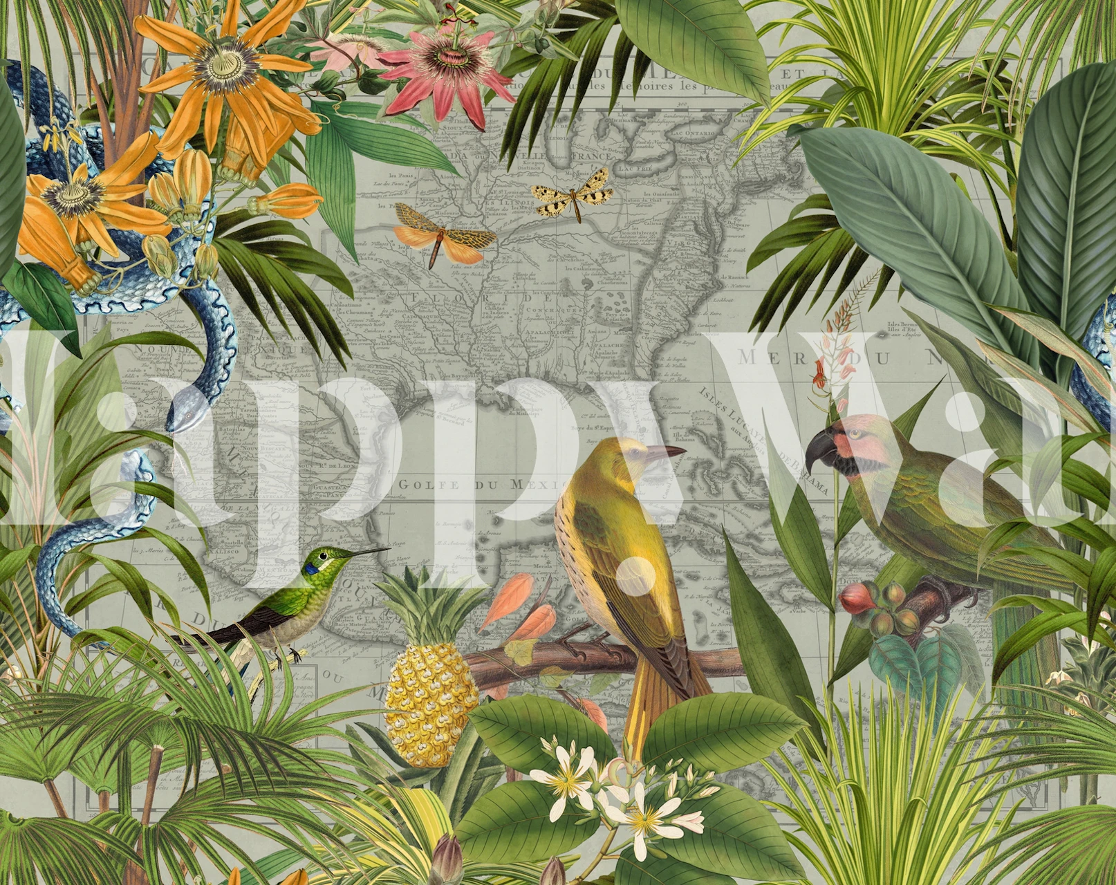 Papel tapiz vintage que muestra Old Map Florida And Mexico