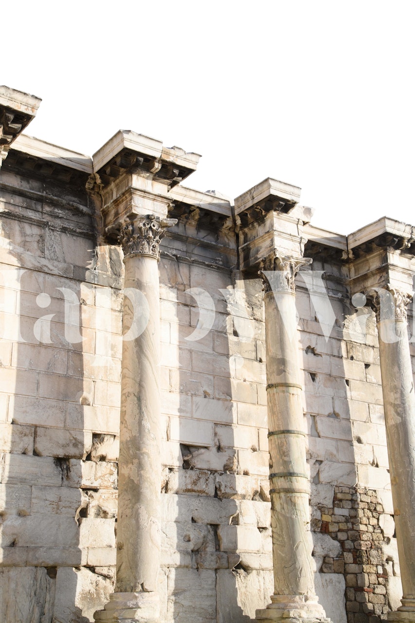 Hadrian's Library Columns wallpaper in a room