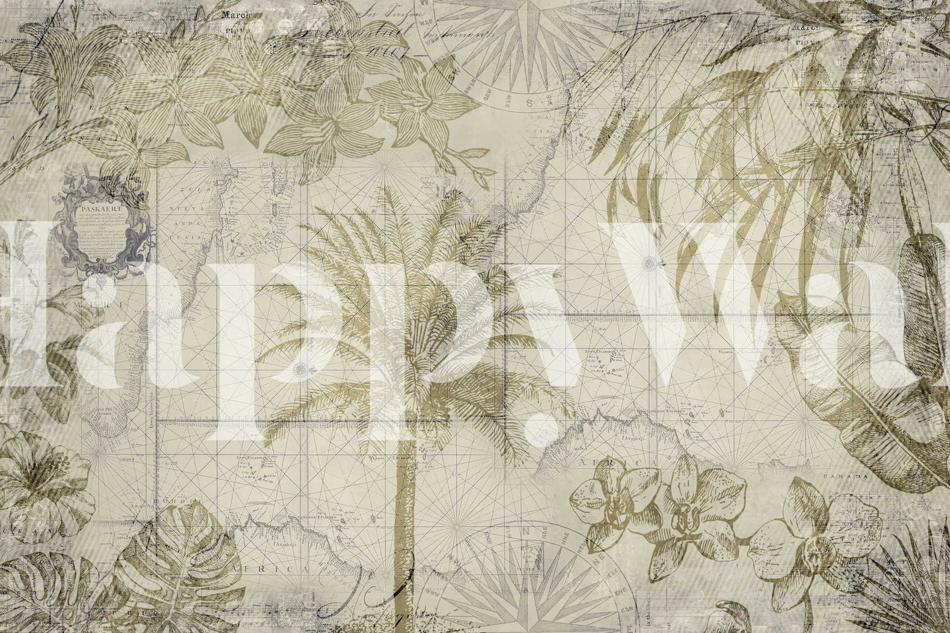 Tropical monochrome wallpaper with palm trees, plants, and vintage map design