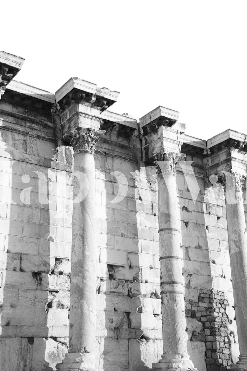 Schwarz und Weiß Hadrians Library Columns Tapete