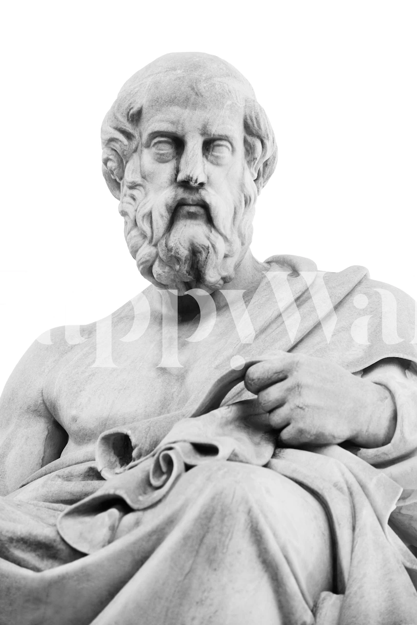Plato Marble Statue wallpaper in a room