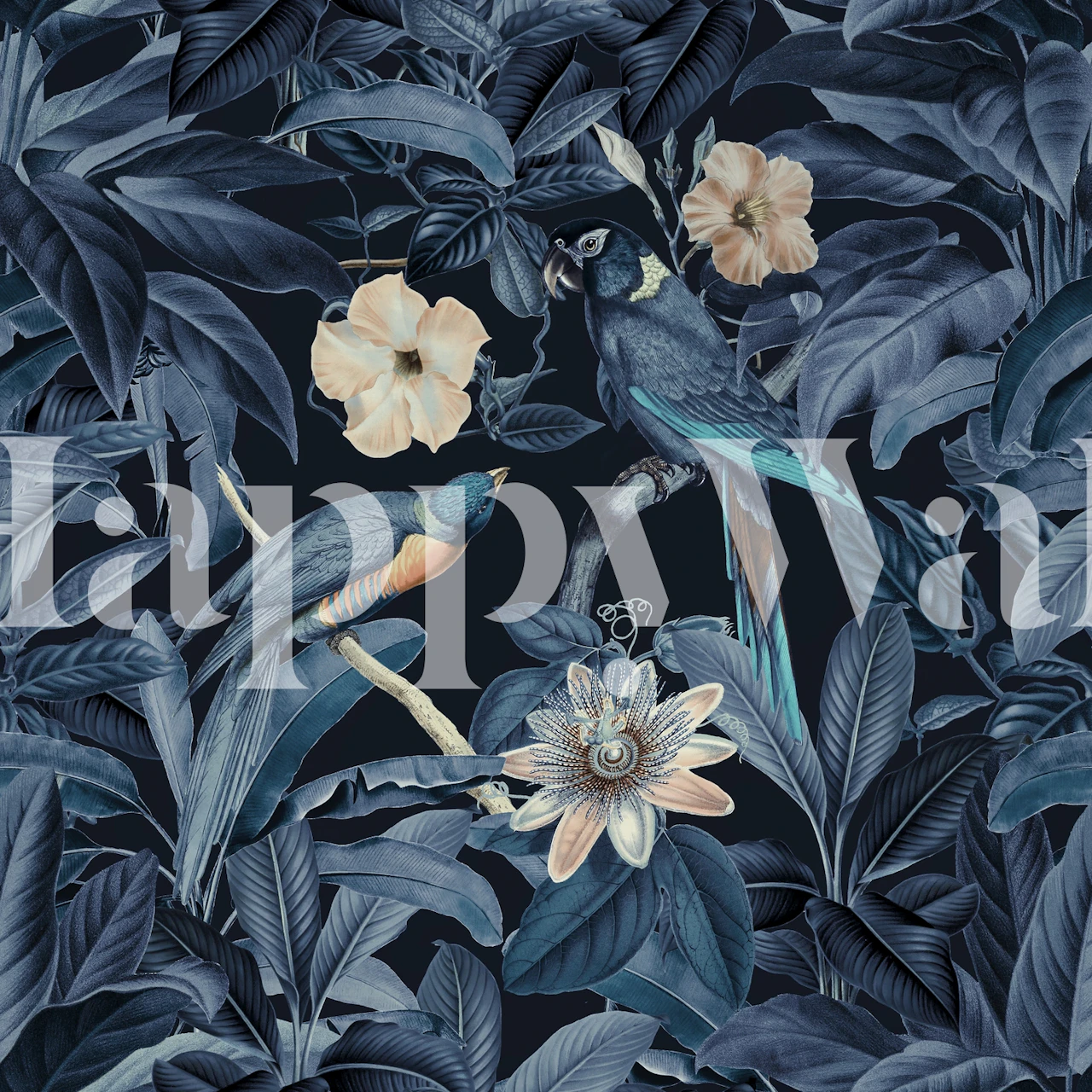 Tropical birds and flowers in dark leaves wallpaper
