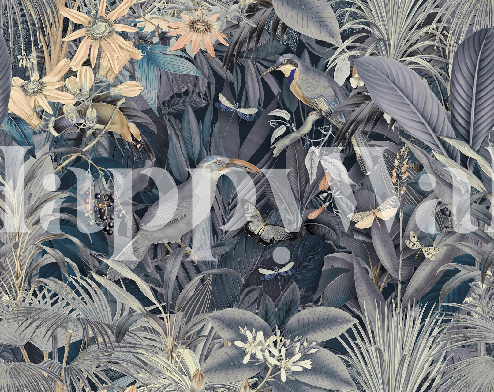 Midnight Jungle Tropical Bird wallpaper in a room