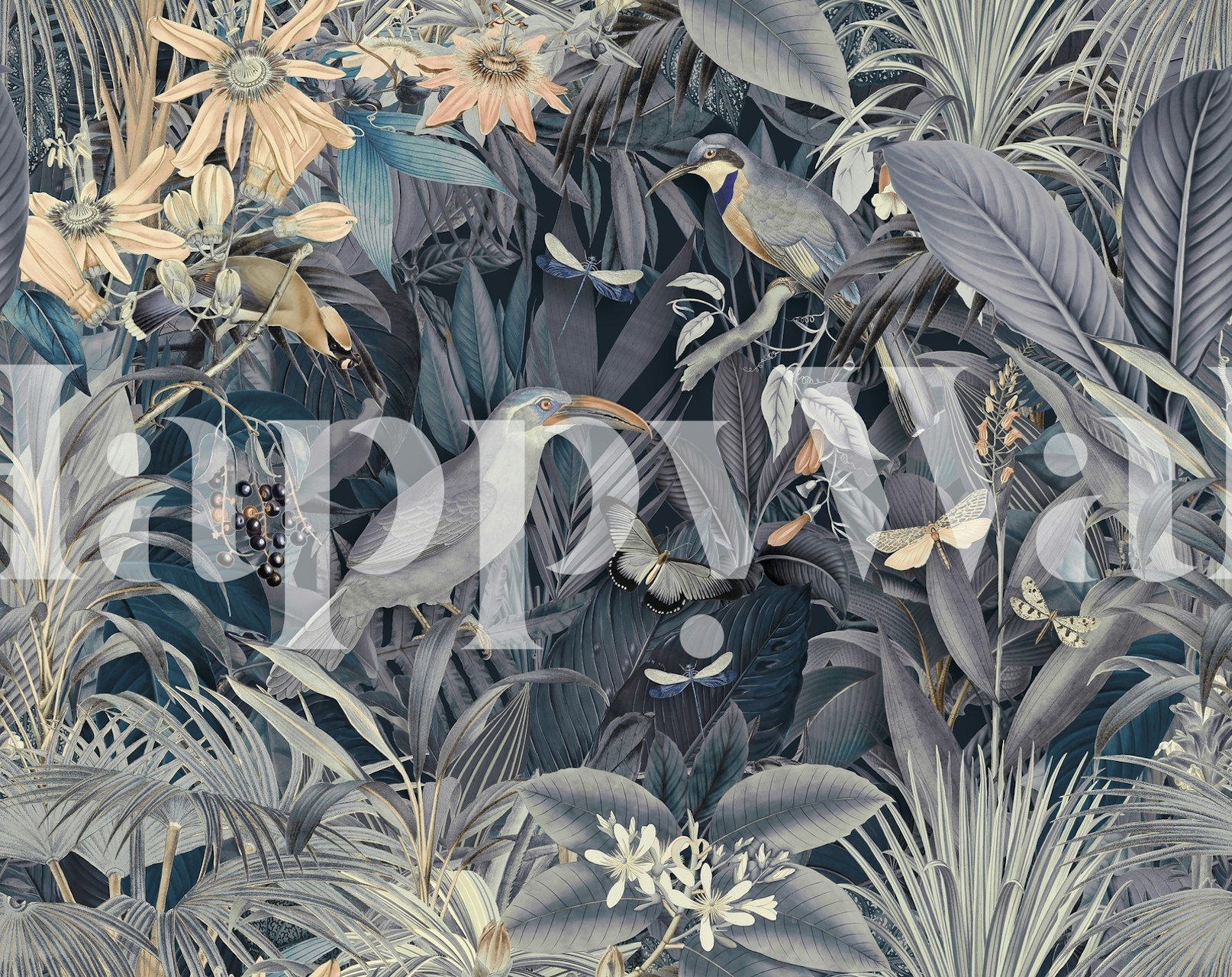 Midnight Jungle Tropical Bird tapetti huoneessa