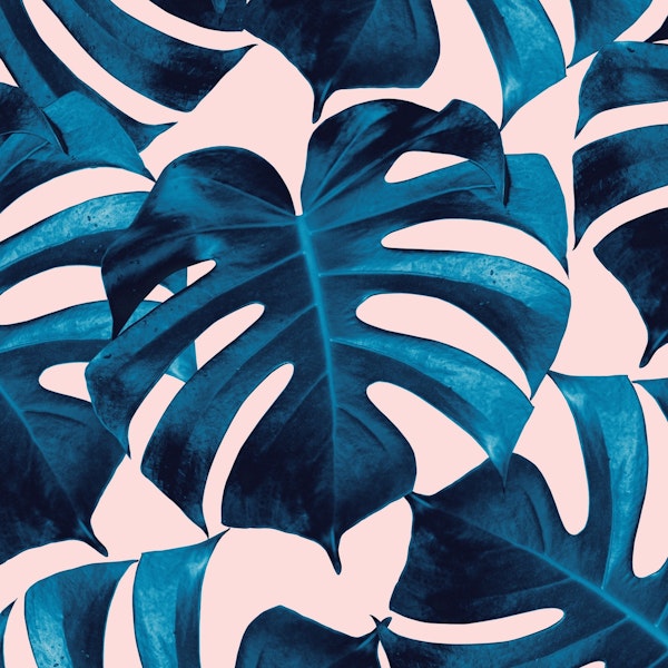 Tropical Monstera Leaves 9