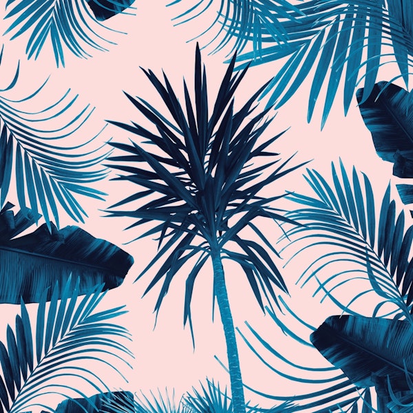 Tropical Cali Summer Vibes 1