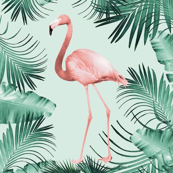 Flamingo in the Jungle 1