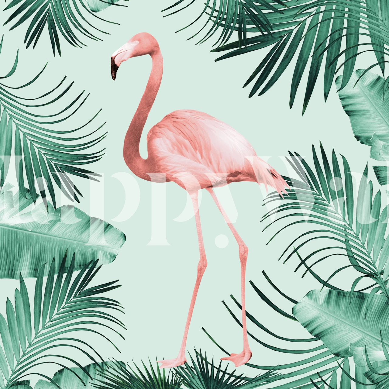 Flamingo wallpaper in a tropical setting