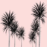 Saint Tropez Feeling 2 behang