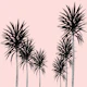Saint Tropez Feeling 2