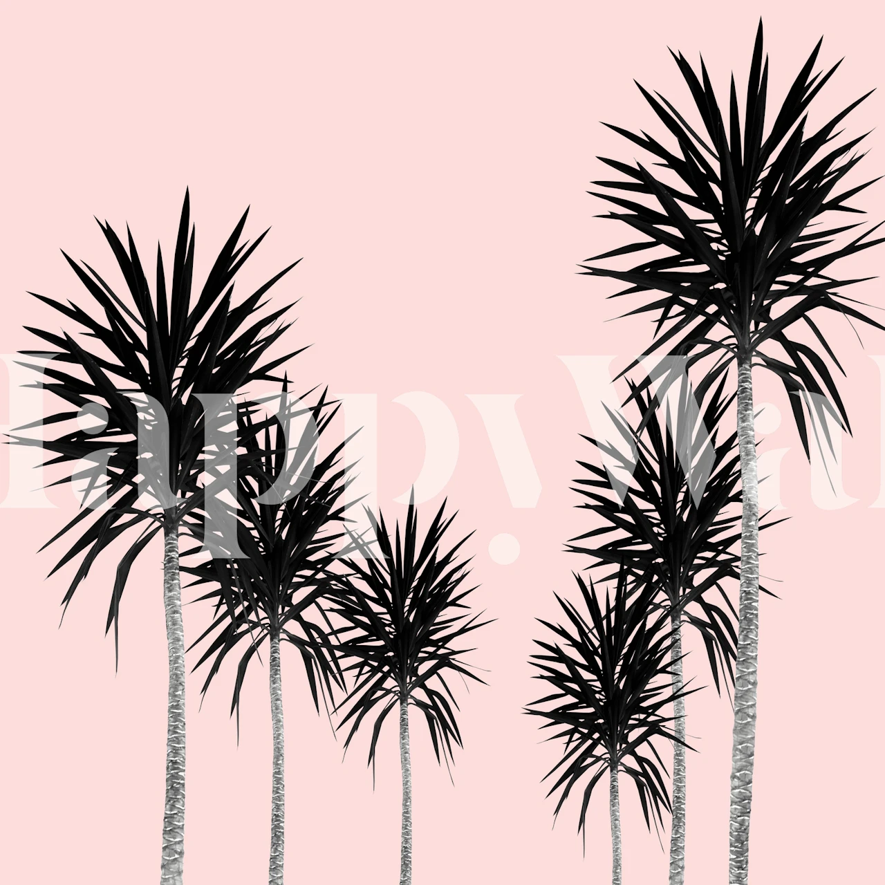 Black palm trees with pink background wallpaper