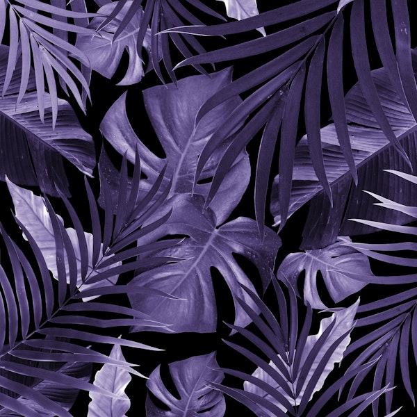 Tropical Jungle Night 4