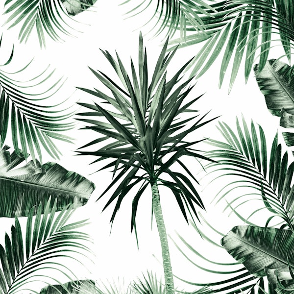 Tropical Summer Vibes 2