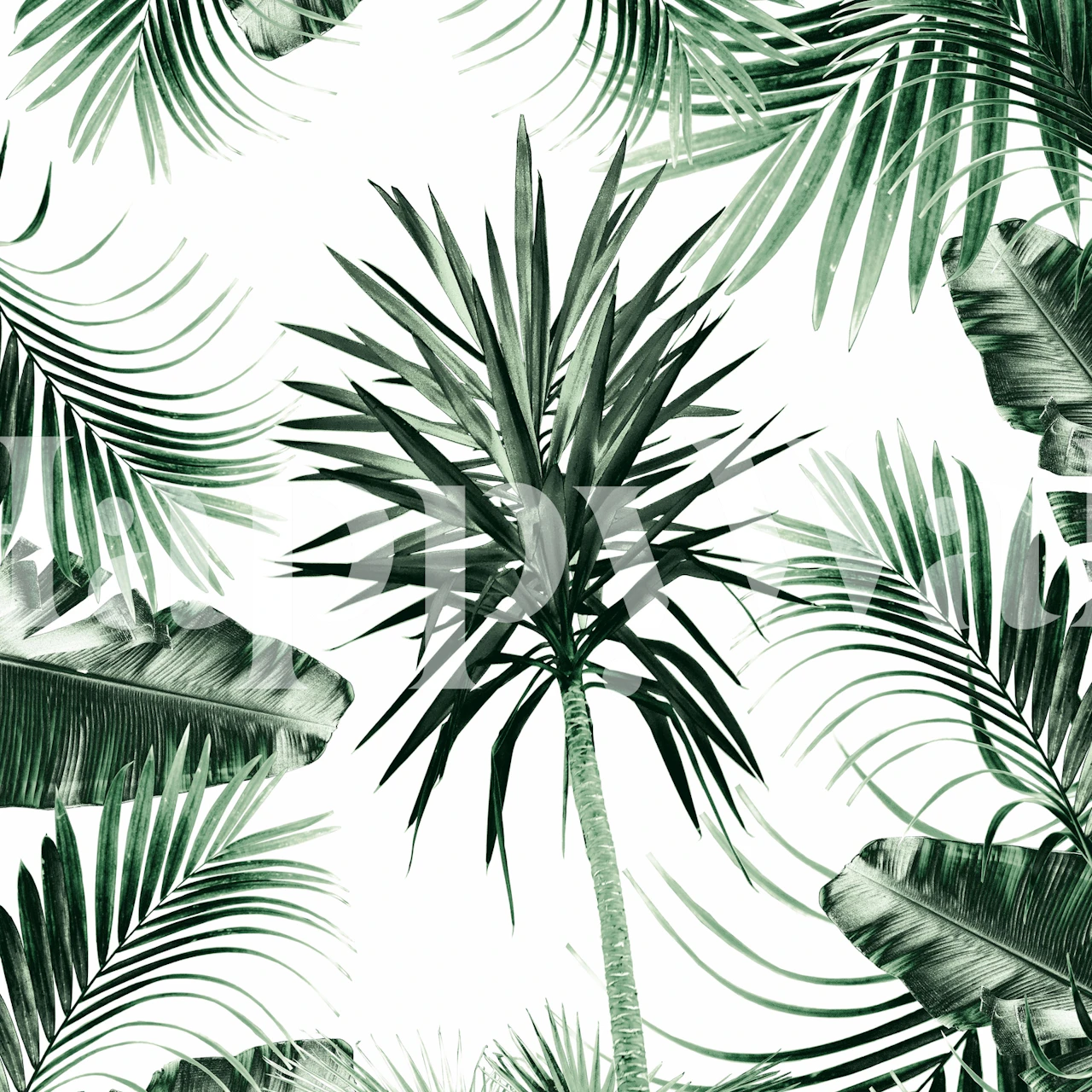 Tropical green leaves on a white background wallpaper