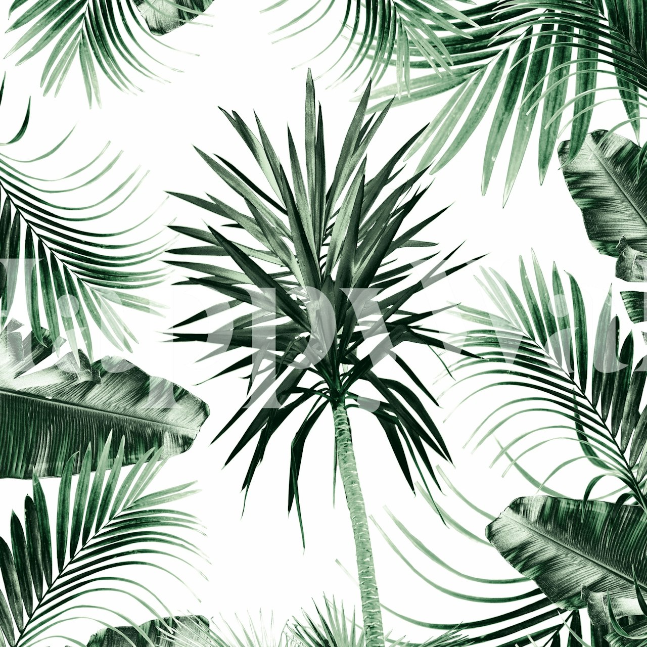 Tropical Summer Vibes 2 papel de parede em uma sala