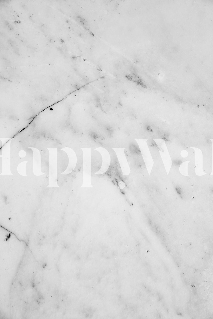 White marble texture wall mural with delicate grey veining