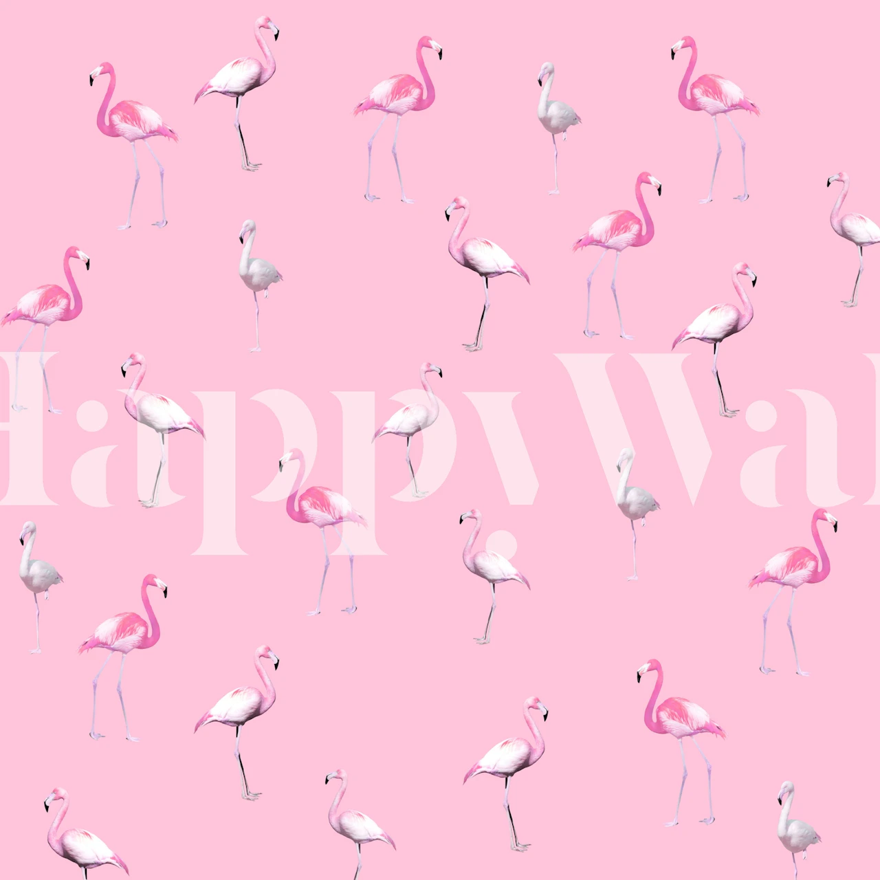 Pink flamingo wallpaper design in a room