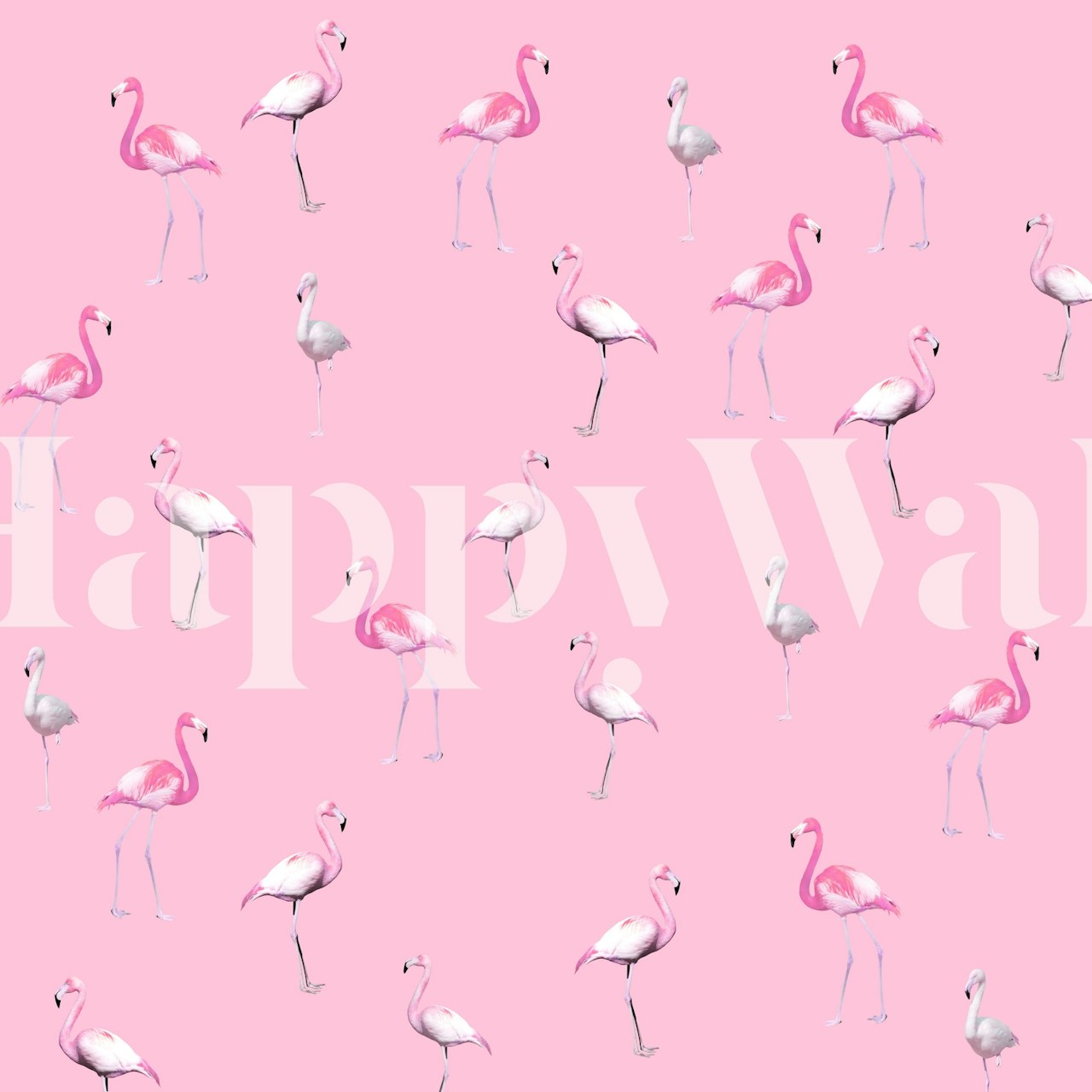 Pink flamingo wallpaper design in a room