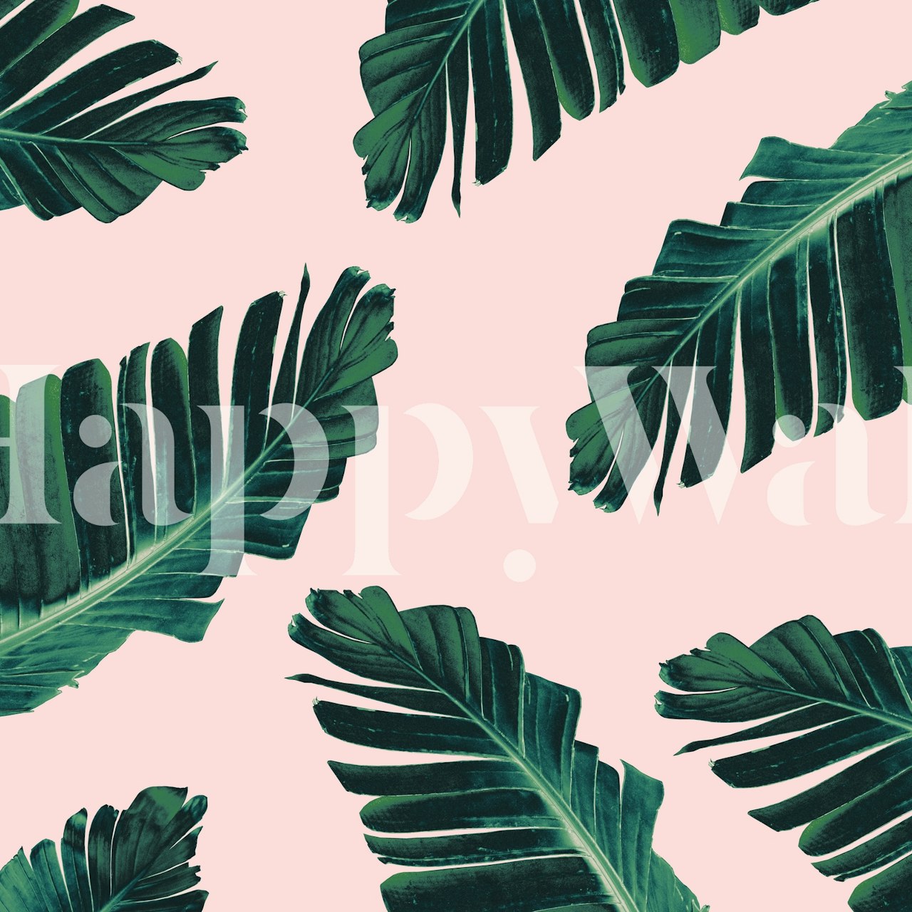 Tropical banana leaves on a blush pink background wall mural