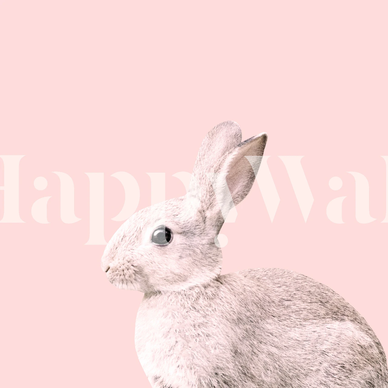 Blush Baby Bunny on pink background wallpaper